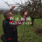 Electric orchard Scissors，Electric Vineyard Pruner